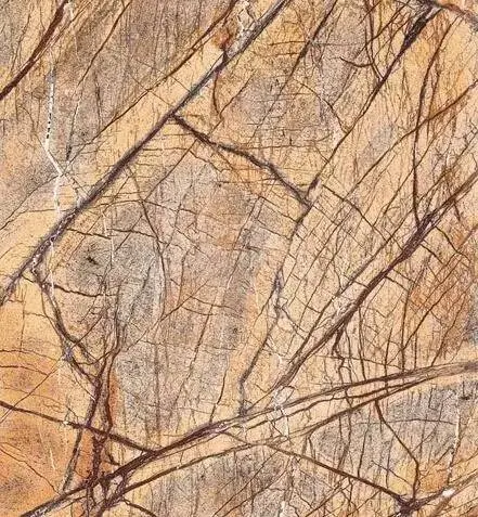 加布里埃尔·伊格莱西亚斯：老少咸宜秀