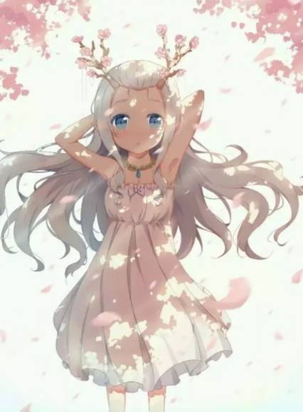 初学者的终极指南