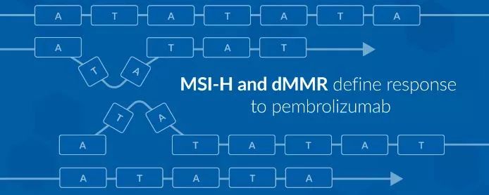 刺客信条（国语版）